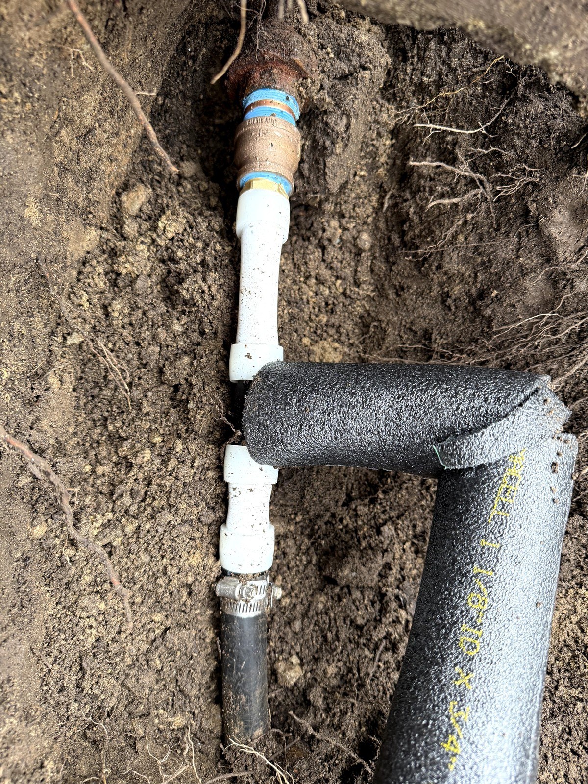 Excavated Bellevue water service with the old corroded connection cut out and new brass and polyethylene fittings set in place