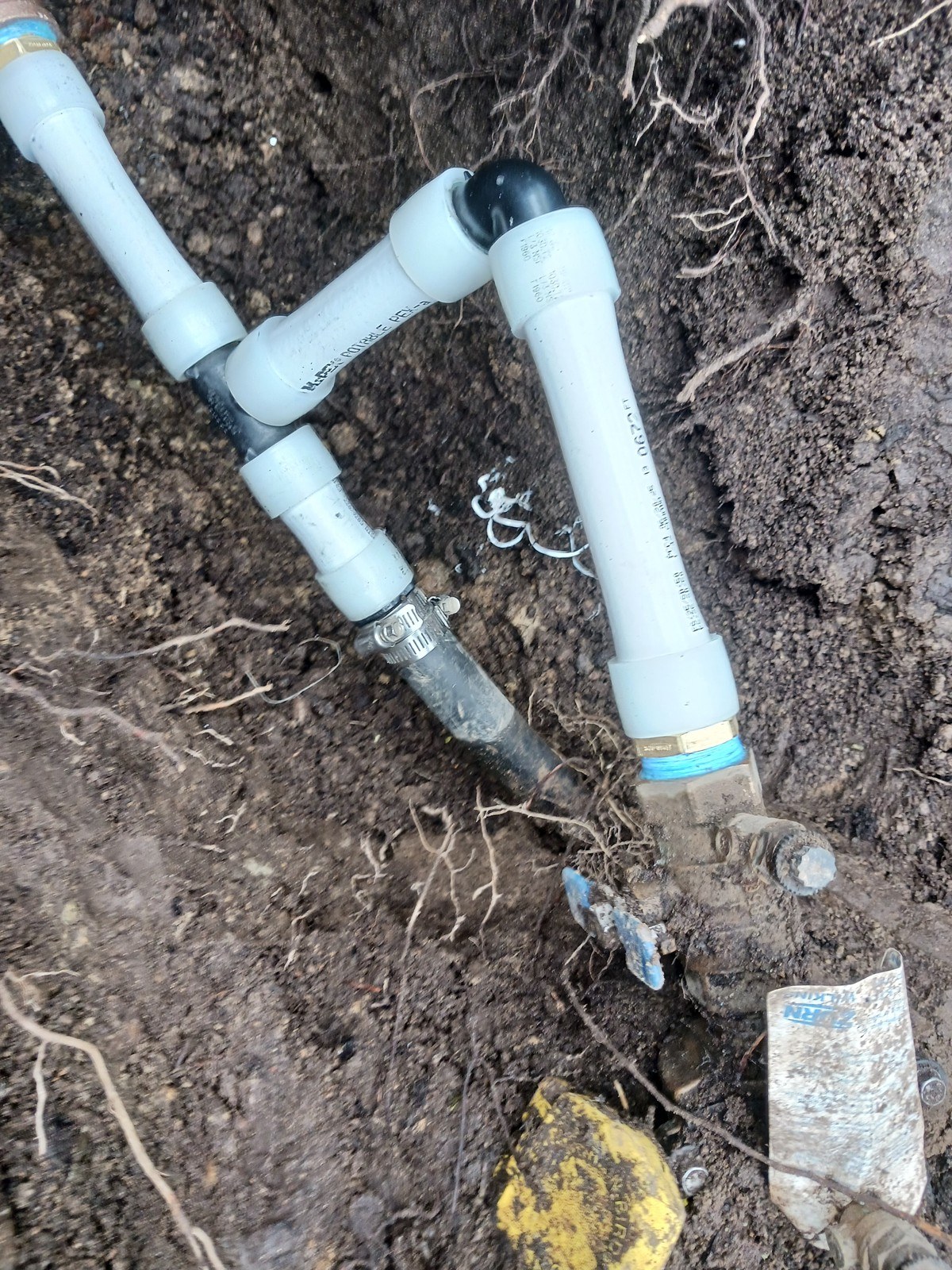 Repaired section of buried water service line lying in an open trench with tree roots visible through the trench walls
